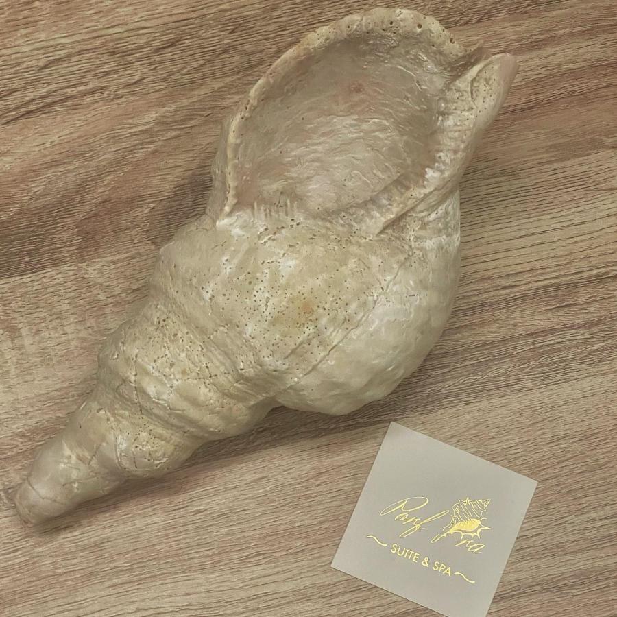 Porfyra Suite 1 Skála Exteriör bild